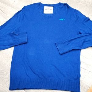 Hollister Men's V Neck Sweater with Seagull Logo